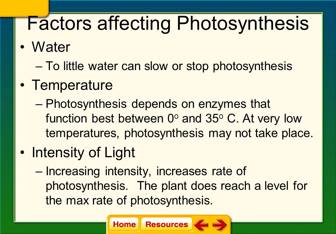 Factors that affect rate of photosynthesis